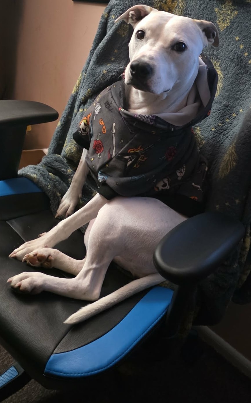 Girl sitting in the chair